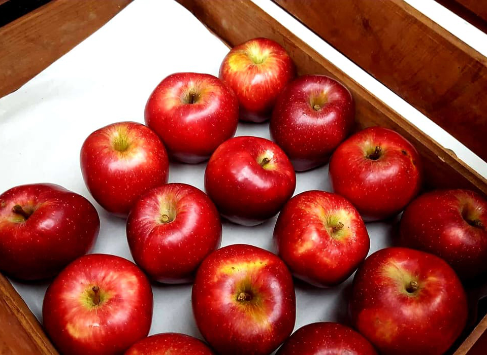 A Nagymama Házi Boltja