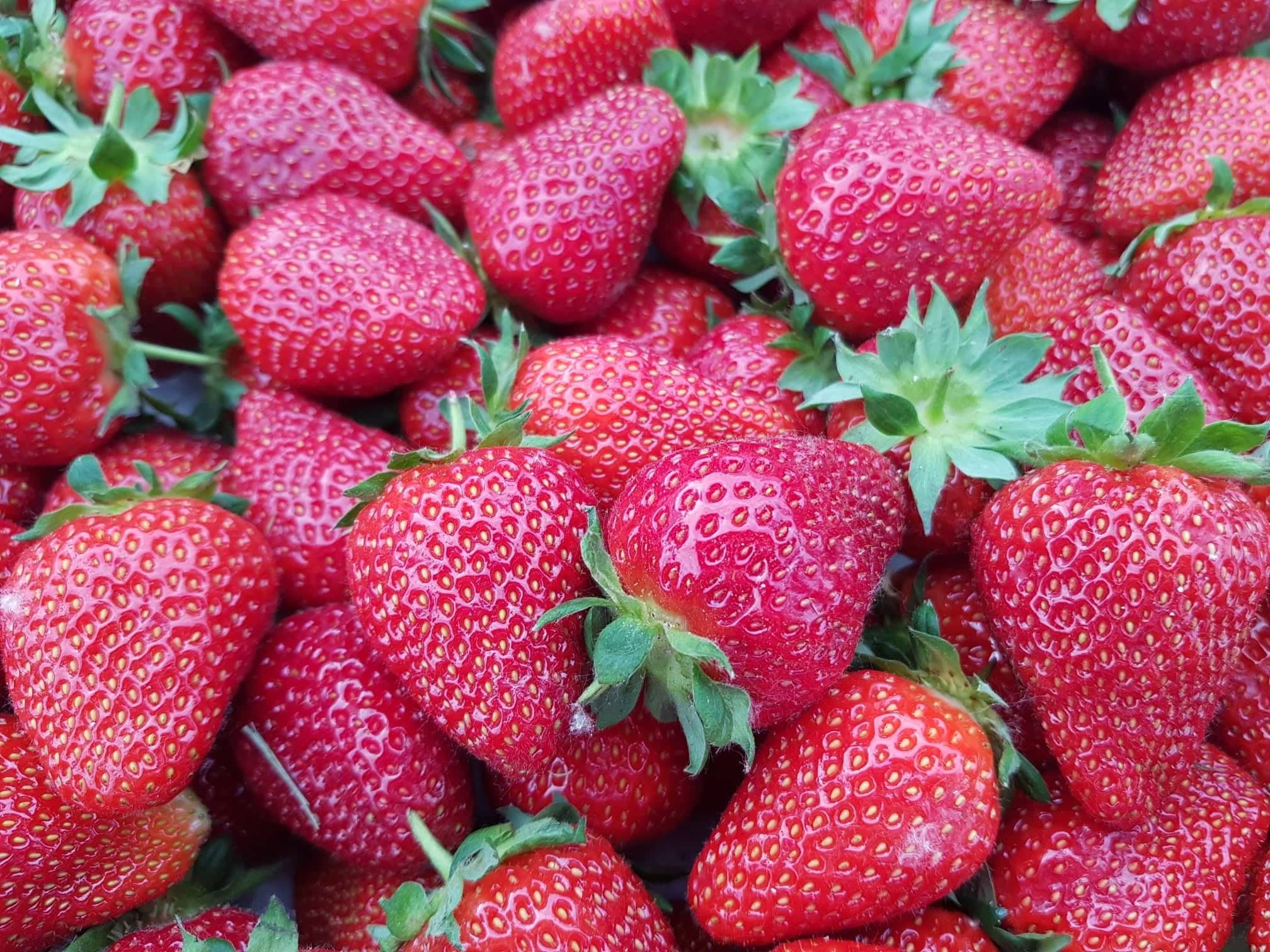 A Nagymama Házi Boltja