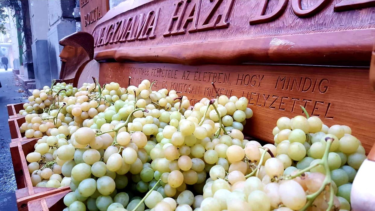 A Nagymama Házi Boltja